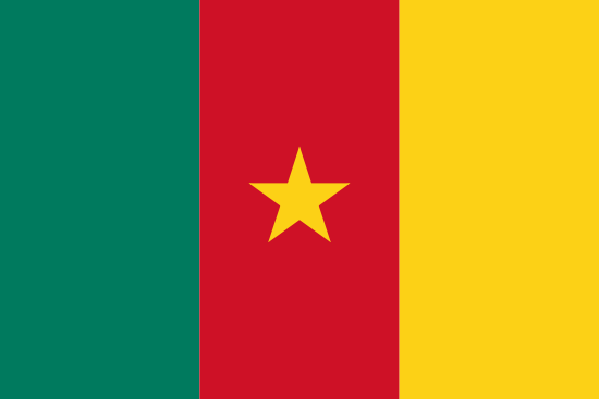 flag of Cameroon
